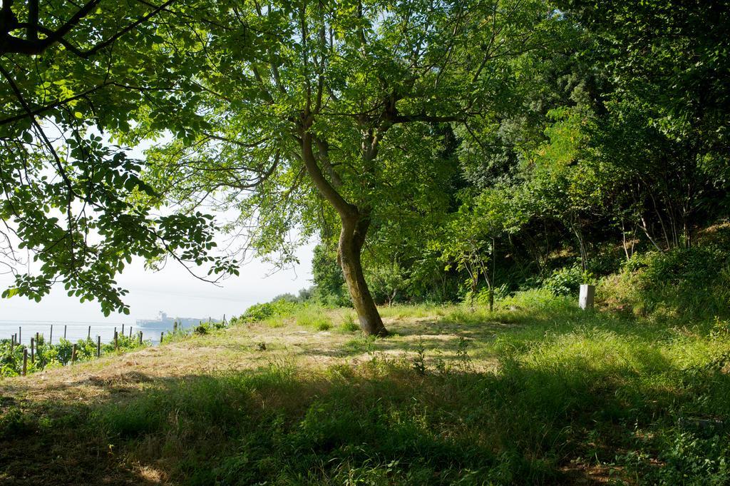 Sopra Il Limoneto Villa Cetara Buitenkant foto